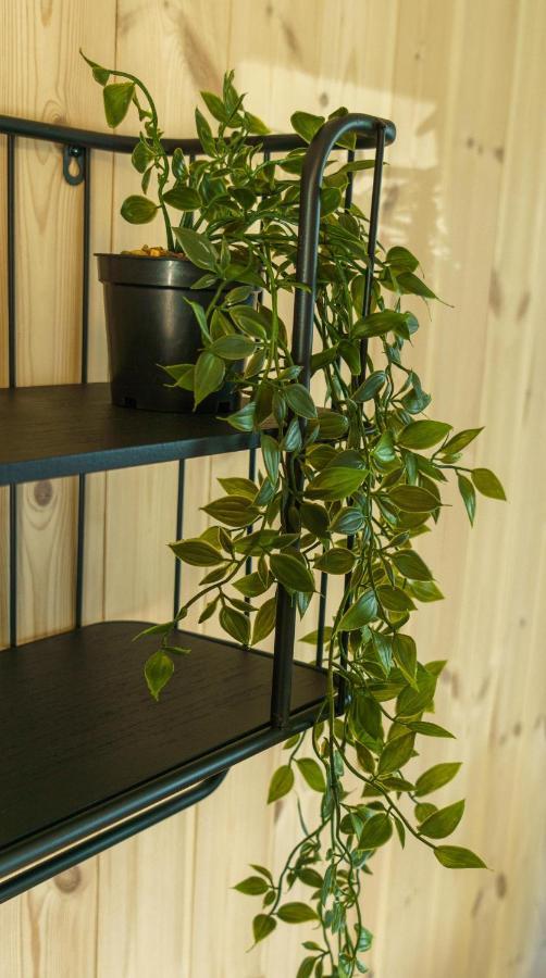 Lilleeideholmen Sjohusutleie Apartment Haug Luaran gambar